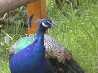 Hier im Park f&uuml;hl ich mich wohl.